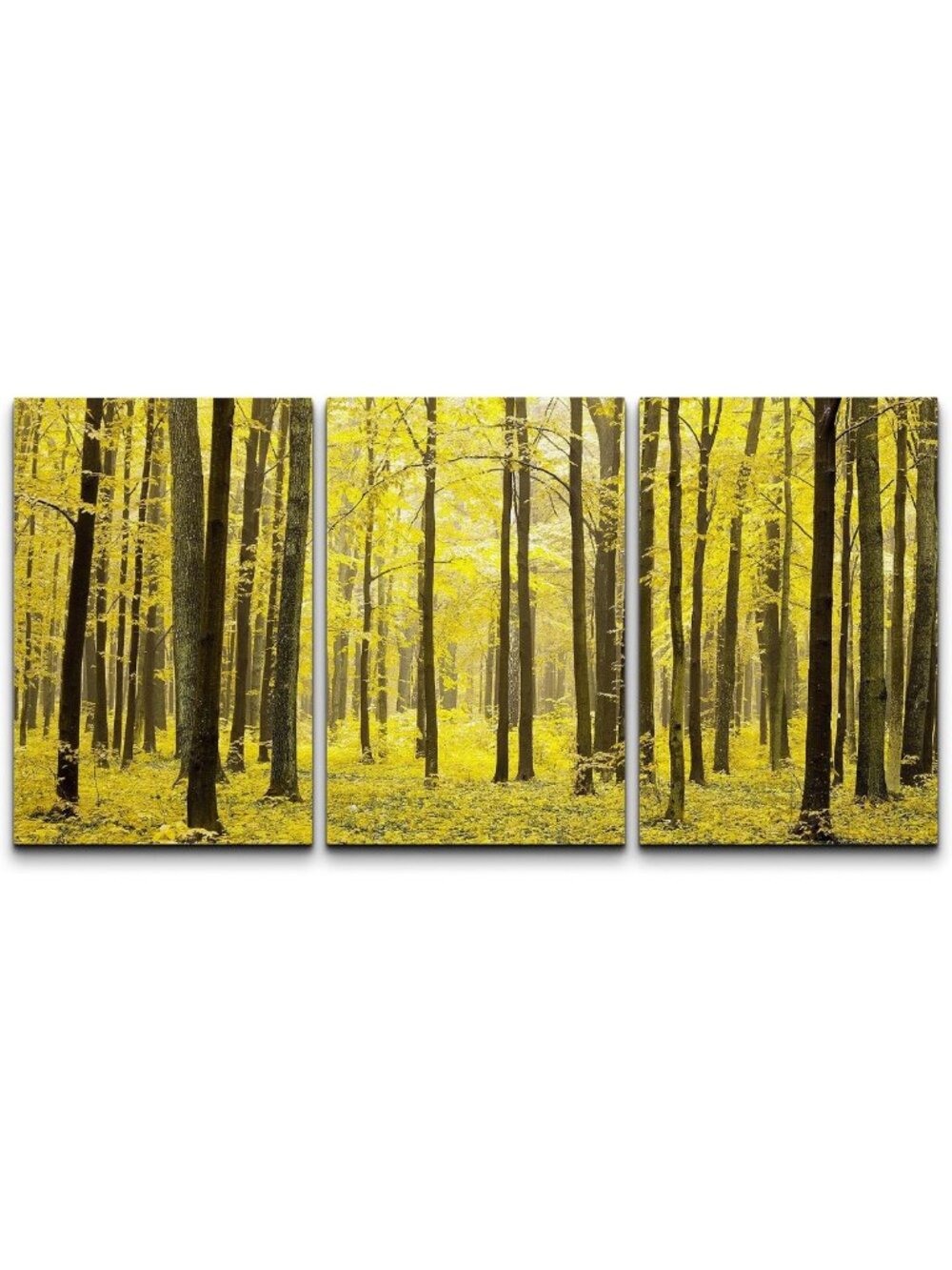 Colorful Fall Forest Canvas Art Set - Nature Photography for Living Room, Office